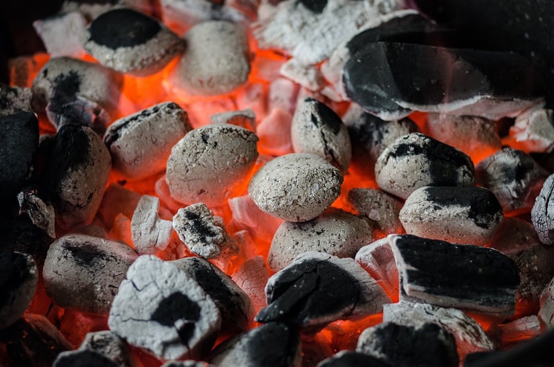 BBQ Bonanza