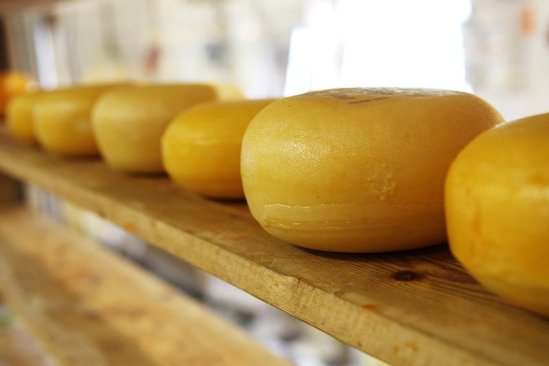 Wine & Cheese Expo